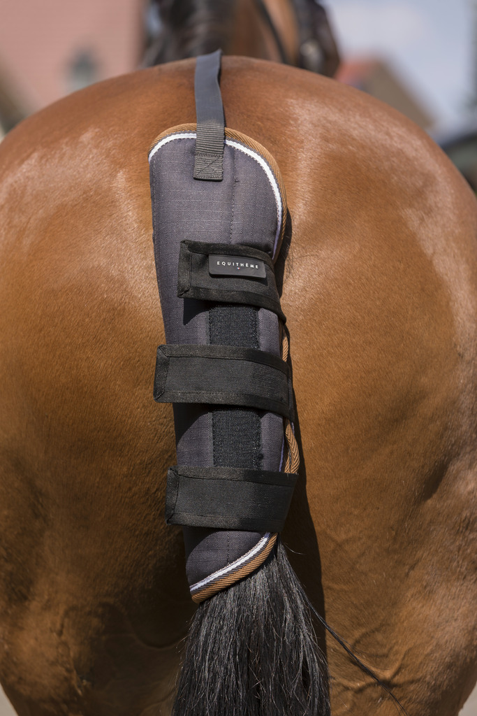 [402822114] EQUITHÈME tail guard - TYREX 600D (Gris/Marron)