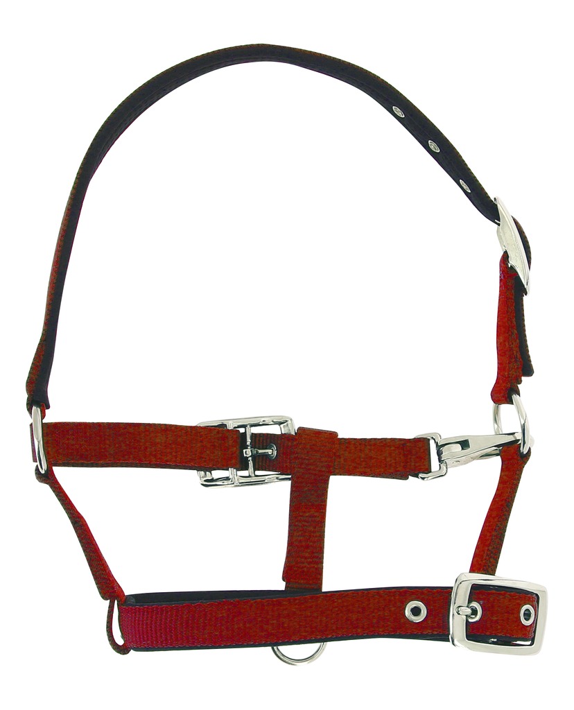 [510024002] Licol foal NORTON "Respirant" (Noir)