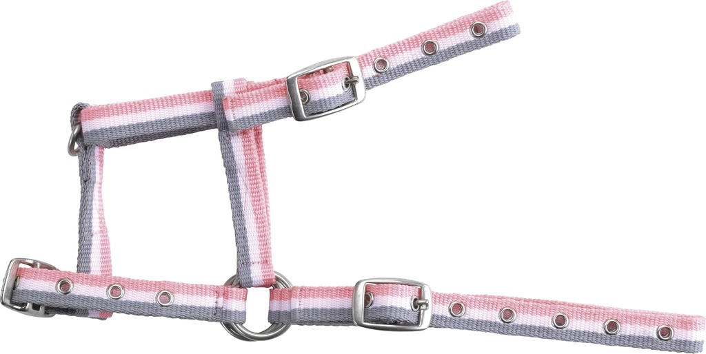 [510037113] Licol foal NORTON - Réglable (Gris/Blanc/Rose)