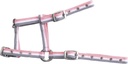 Licol foal NORTON - Réglable