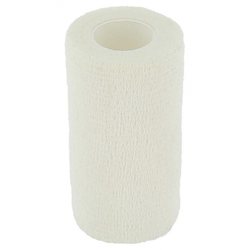 Bande HIPPOTONIC - Flex-Wrap