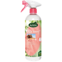 Easy Shine RAVENE