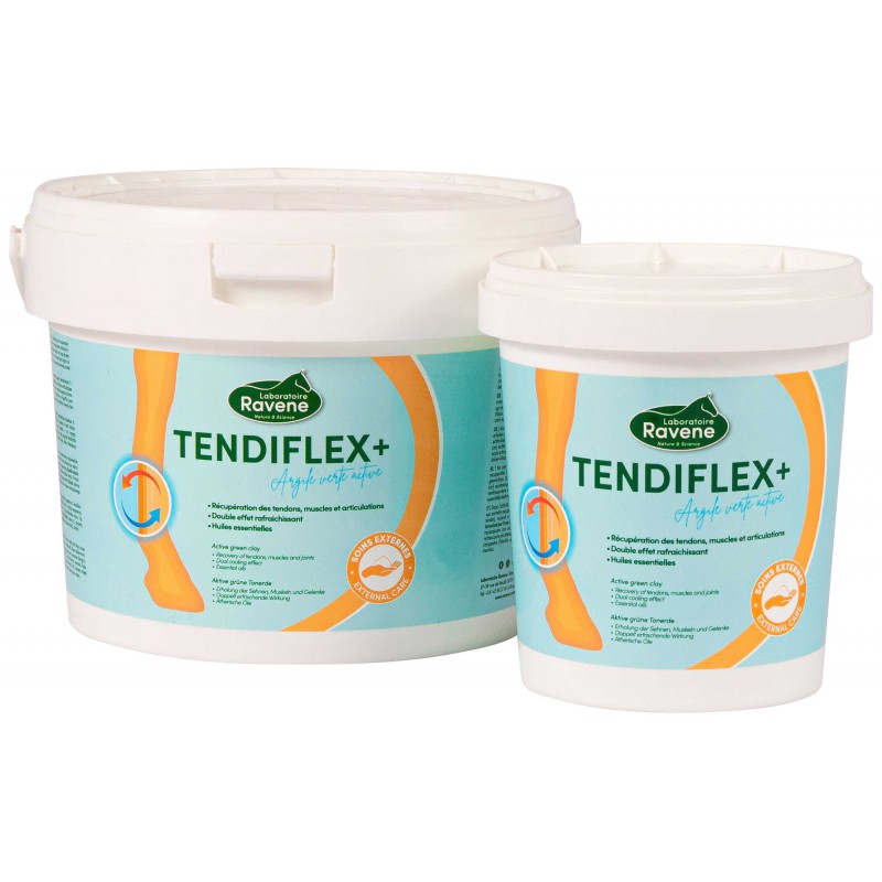 Argile RAVENE -Tendiflex +