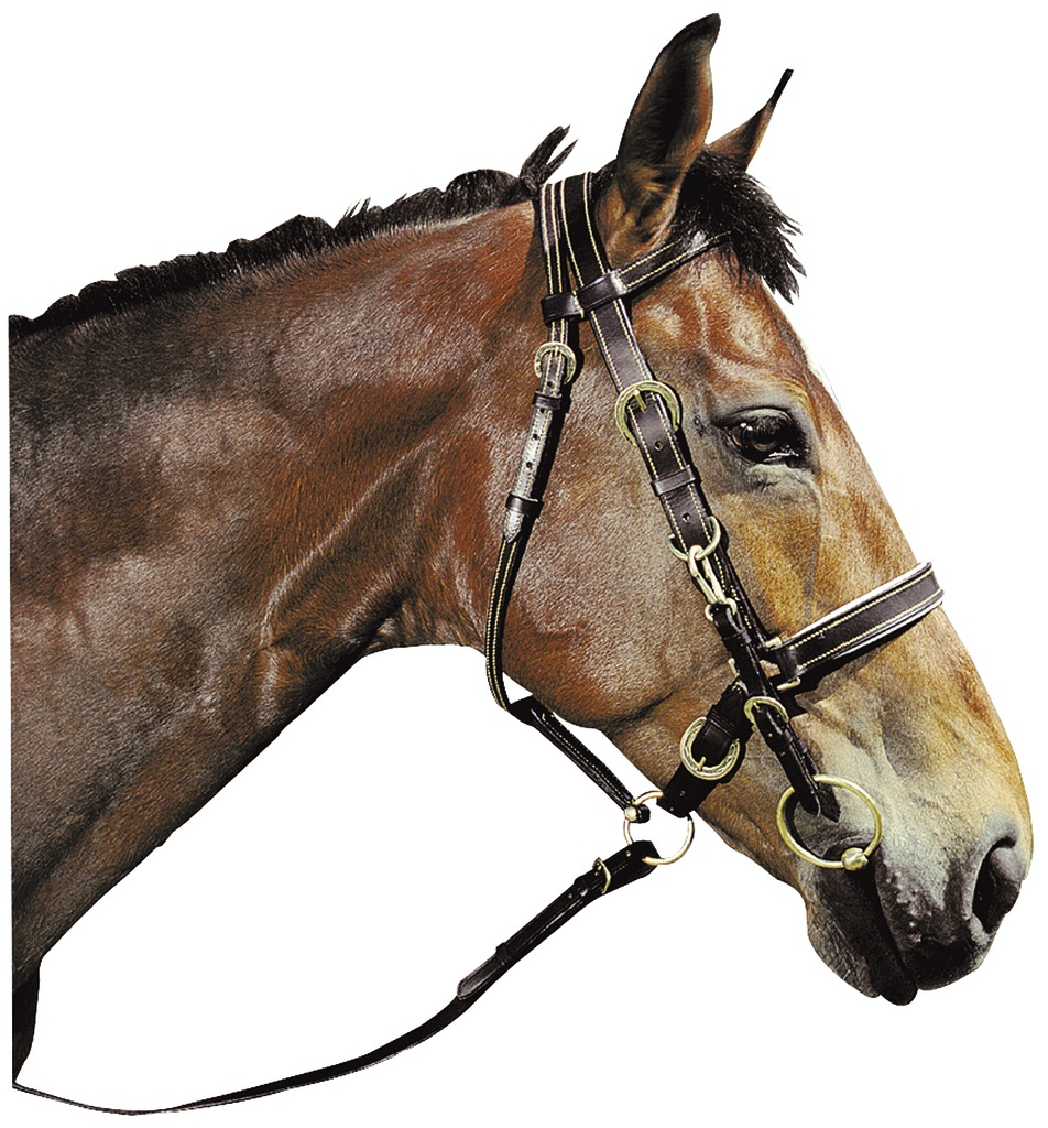 Bridon/licol RANDOL'S de randonnée surpiqué