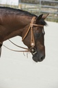 Bridon WESTRIDE by Franck Perret - Aurora