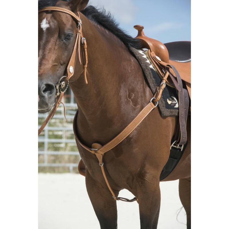 Collier de chasse WESTRIDE by Franck Perret - Aurora