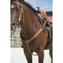 Collier de chasse WESTRIDE by Franck Perret - Aurora
