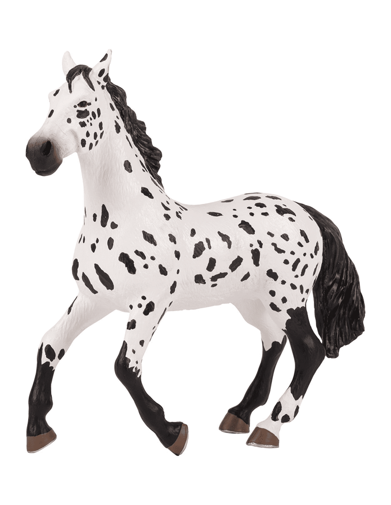 Grand cheval Appaloosa PAPO