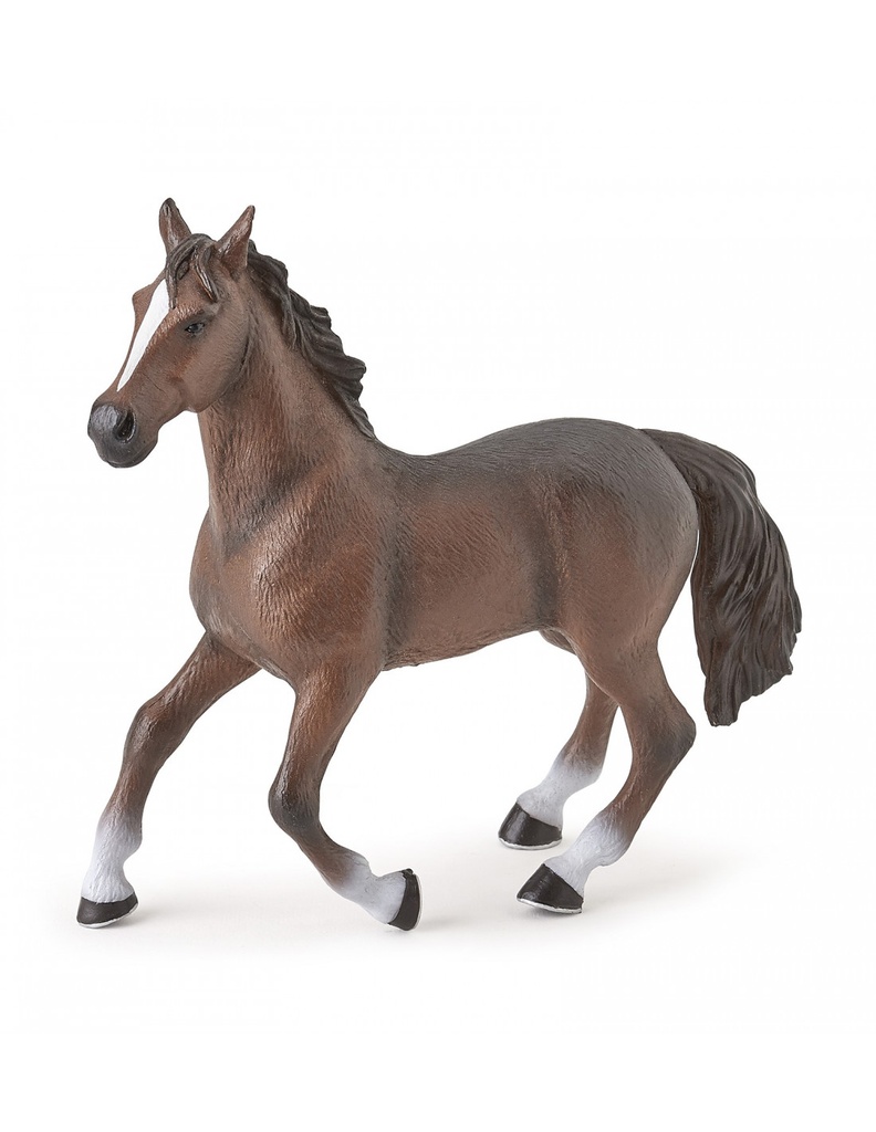 Grand cheval PAPO