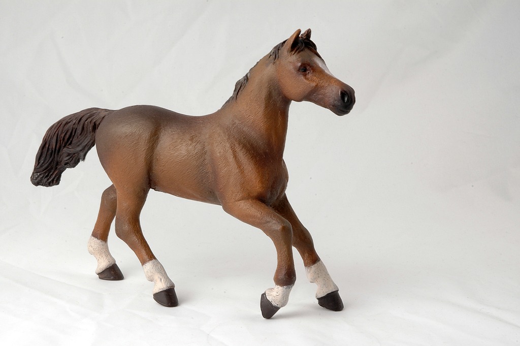 [905051075] Jument Anglo-Arabe PAPO