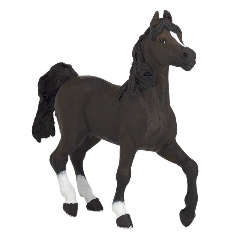 Cheval Arabe PAPO