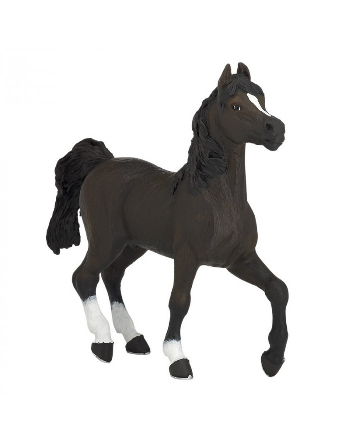 Cheval Arabe PAPO