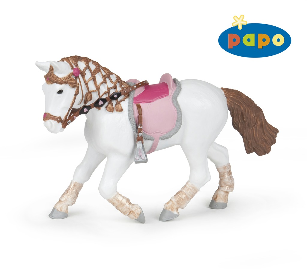 PAPO poney au pas