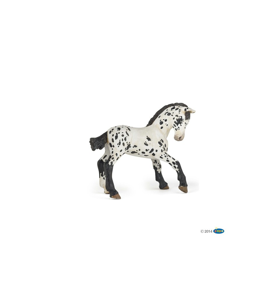 Poulain Appaloosa noir PAPO