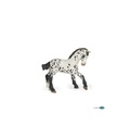 Poulain Appaloosa noir PAPO