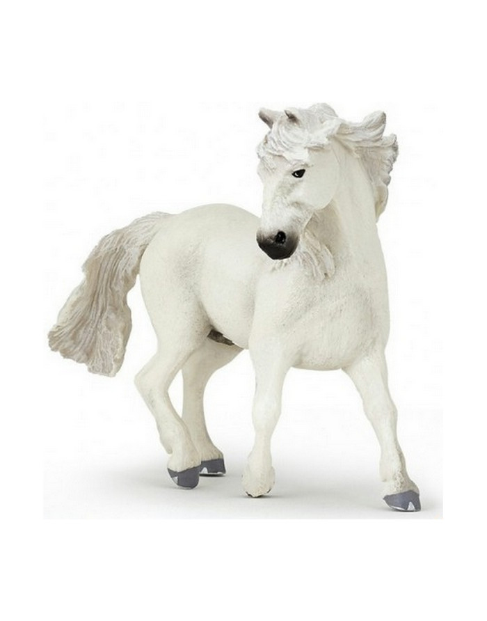 Camargue PAPO