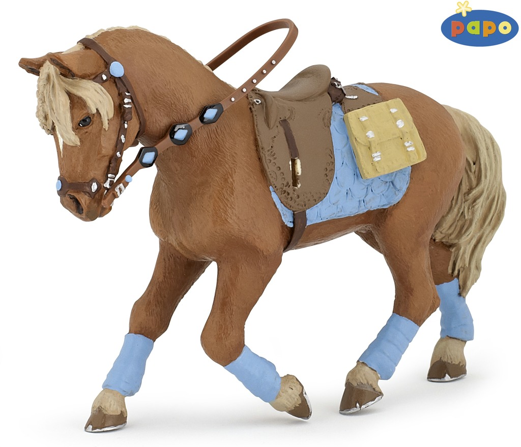 Cheval du jeune cavalier PAPO
