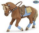 Cheval du jeune cavalier PAPO