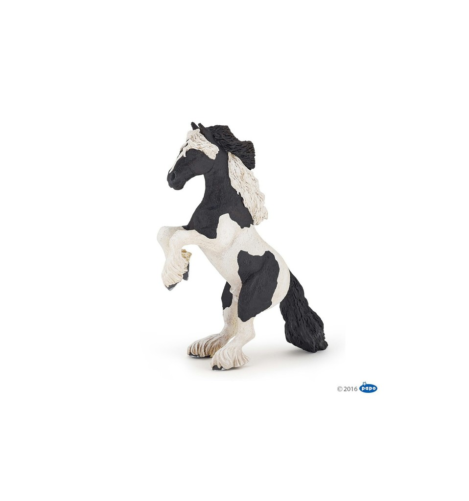 [905051549] Cob cabré PAPO