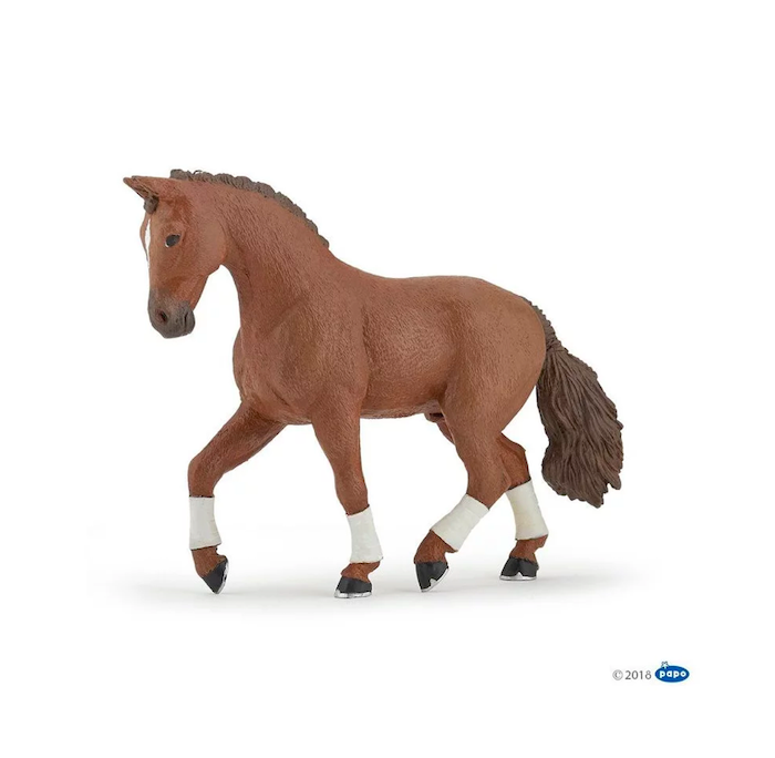 Cheval Hanovrien Alezan PAPO