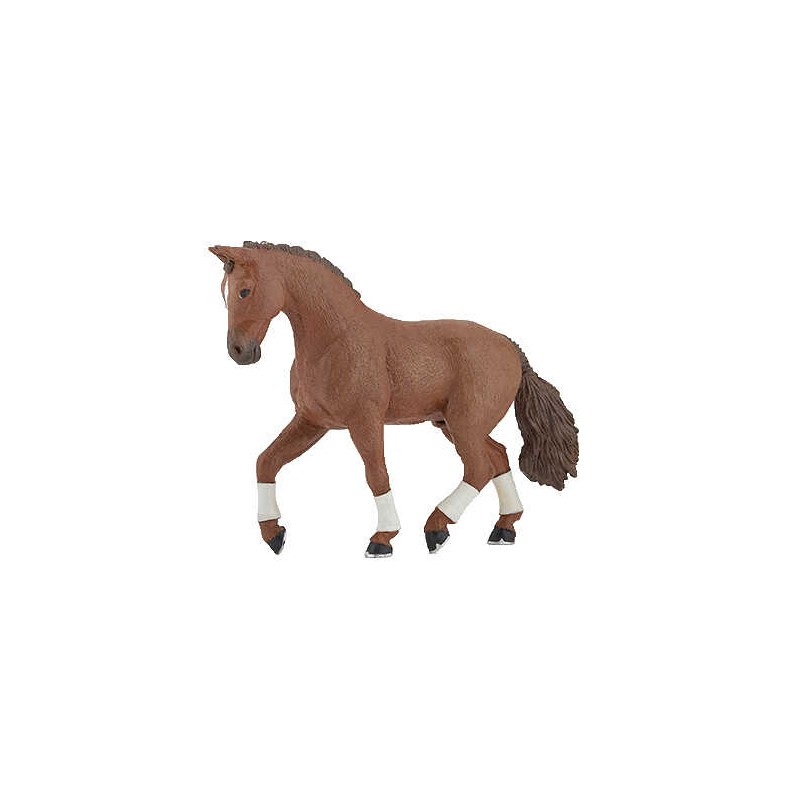 Cheval Hanovrien Alezan PAPO