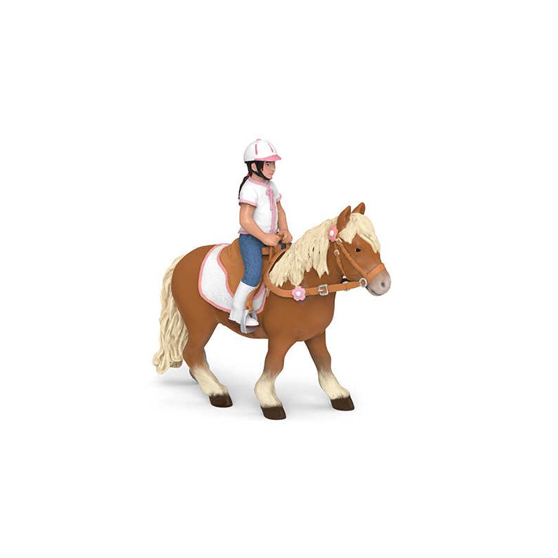 Poney shetland avec selle PAPO