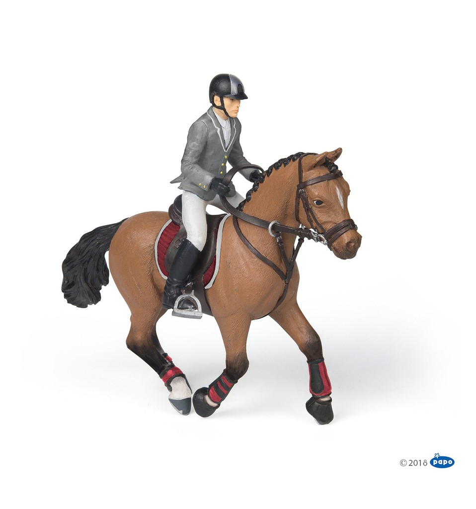 Cheval concours & cavalier PAPO