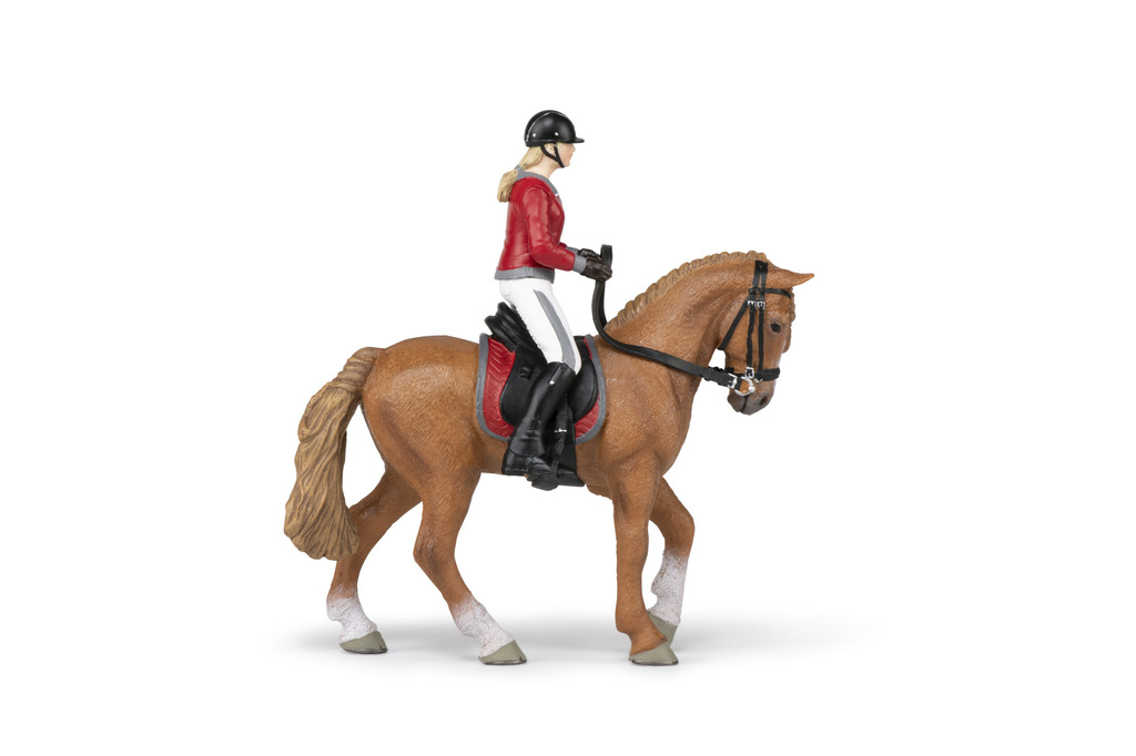 [905051564] Cheval de promenade et sa cavalière PAPO