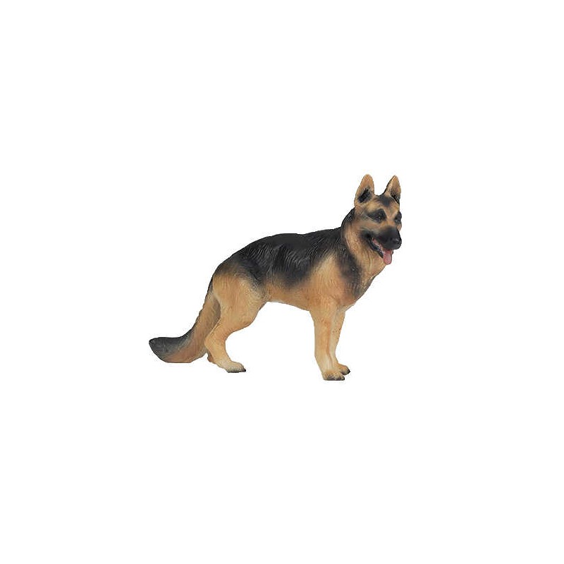 Berger allemand PAPO