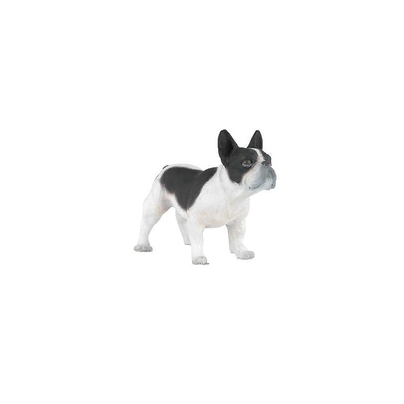 Bouledogue français noir et blanc PAPO