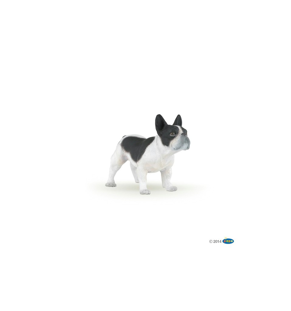 Bouledogue français noir et blanc PAPO