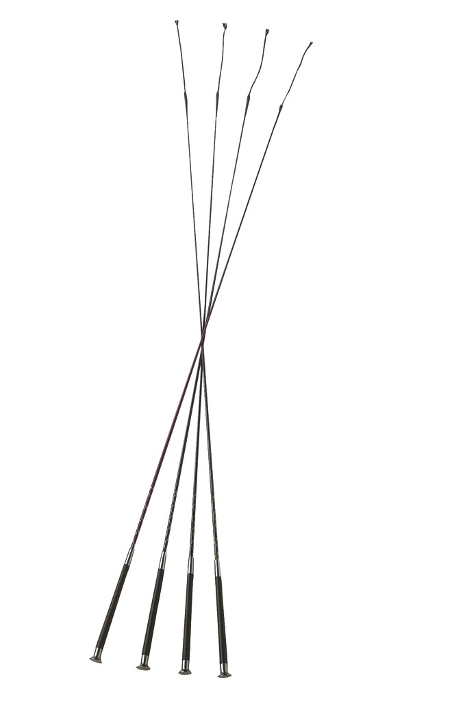 Cravache de dressage WHIP & GO "Silverline"