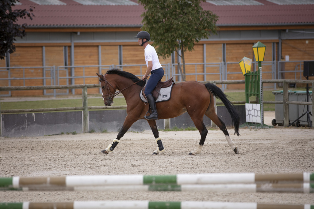 T-shirt EQUITHÈME "Lewis"