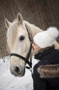 Bonnet EQUITHÈME - Beta-