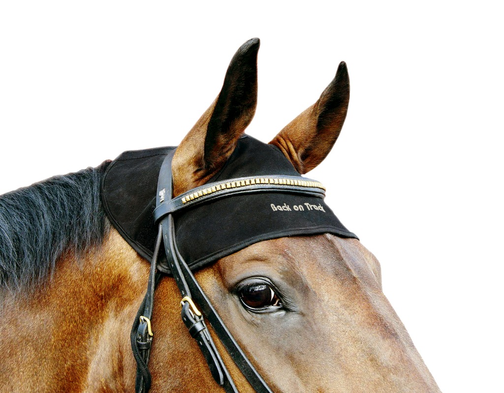 [B20430001] Bonnet thérapeutique BACK ON TRACK® (S)