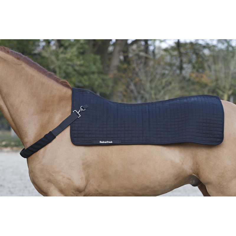 [B21010000] Backwarmer BACK ON TRACK® - Royal
