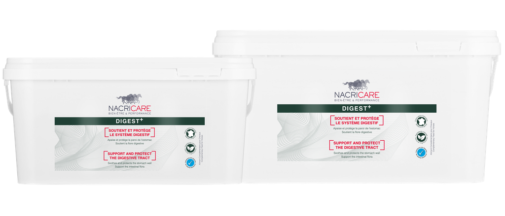 Digest Plus - Ulcère gastrique