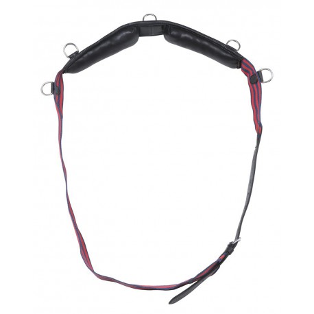 Surfaix sangle NORTON CLUB