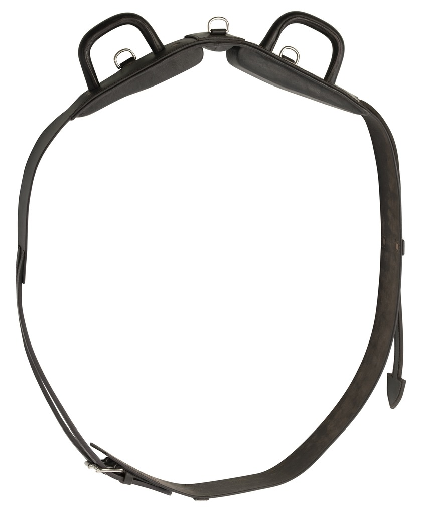 [401060] Surfaix de voltige NORTON CLUB à poignées fermées (Cheval)