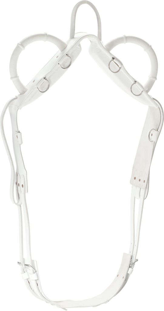 NORTON aerobatic surcingle