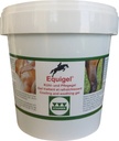 EQUIGEL® Gel traitant et rafraîchissant
