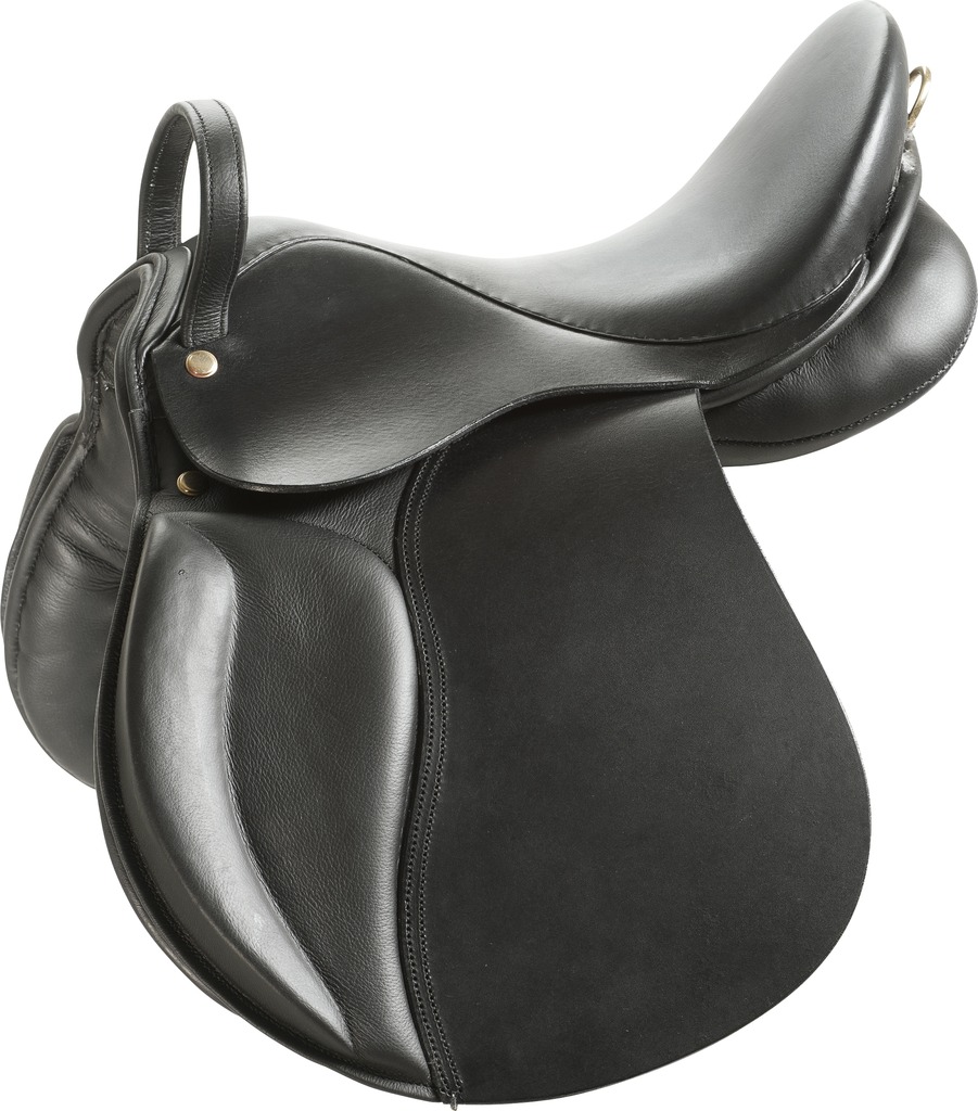 Selle NORTON - Educative