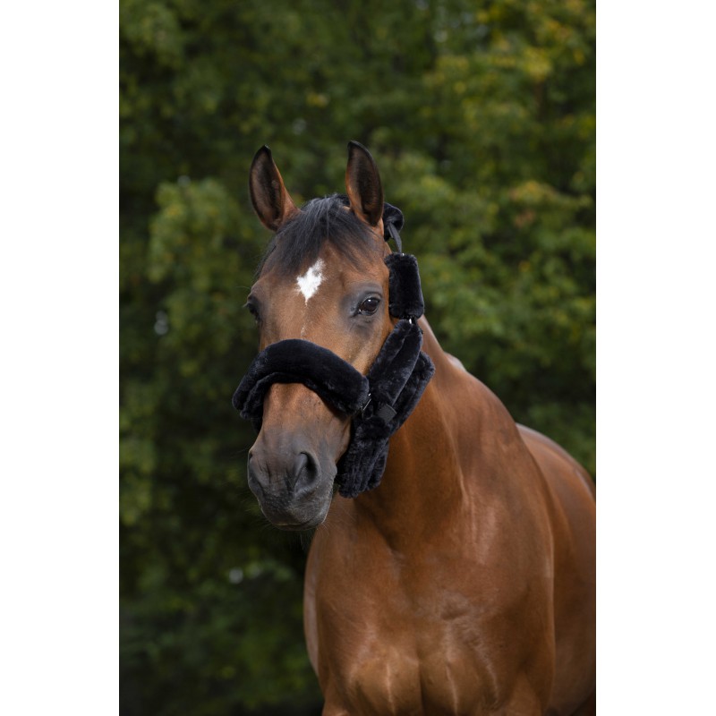 [207500204] Set pour licol EQUITHÈME "Teddy" (Brun, Pur-sang)