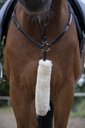 Fourreau de collier de chasse EQUITHÈME "Teddy"