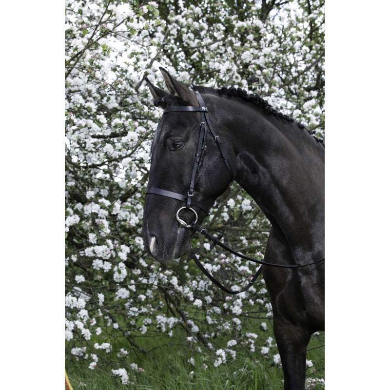 Bridon RIDING WORLD - Muserolle française