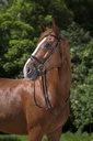 RIDING WORLD Bridon - Muserolle combinée