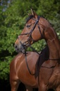 RIDING WORLD Bridon - Muserolle croisée