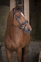 Bridon NORTON PRO - Soft