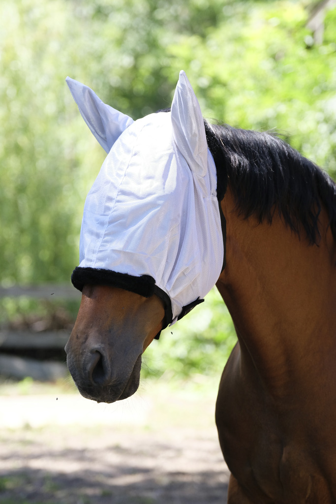 [306002003] Masque anti-mouches EQUITHÈME "Pro" (Cheval)