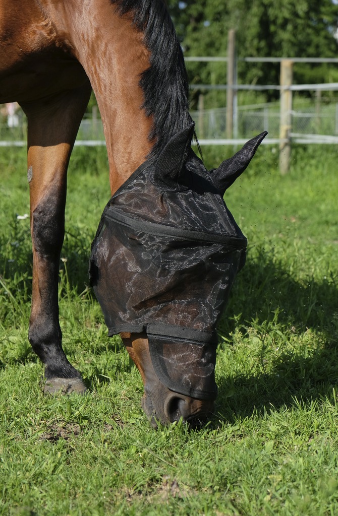 [306003103] Masque anti-mouches EQUITHÈME “Protec” (Argenté, Cheval)
